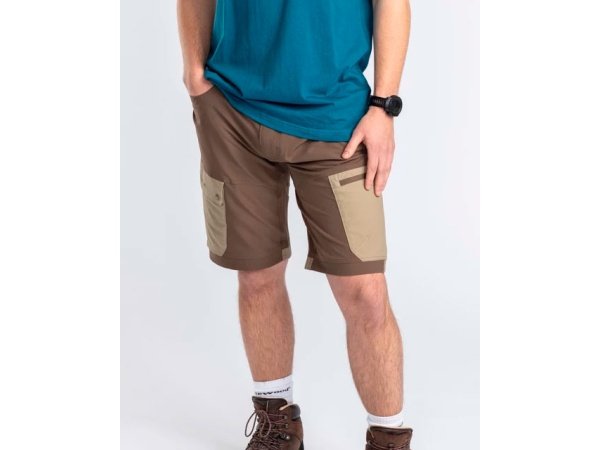 Pinewood Finnveden shorts