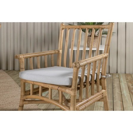 Venture D. havestol Cane