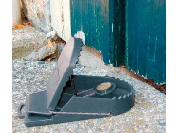 Swissinno rottefælde