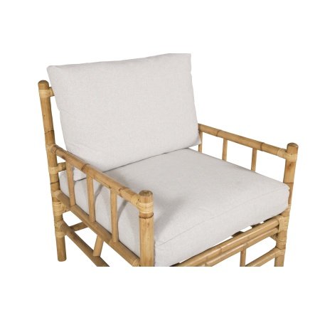 Venture D. havestol Cane