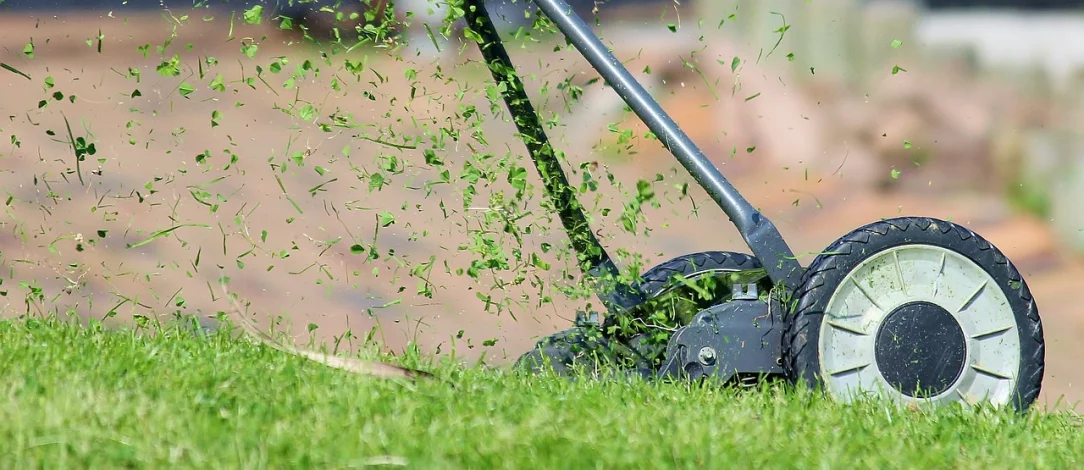 Hvornår bør du give din græsplæne topdressing 10-4.dk