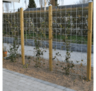 NSH espalier rionet galv. NSH espalier rionet galv.
