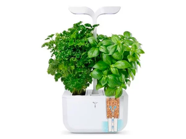 Indoor Garden Classic