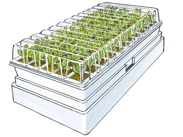 Pindstrup minikap minidrivhus