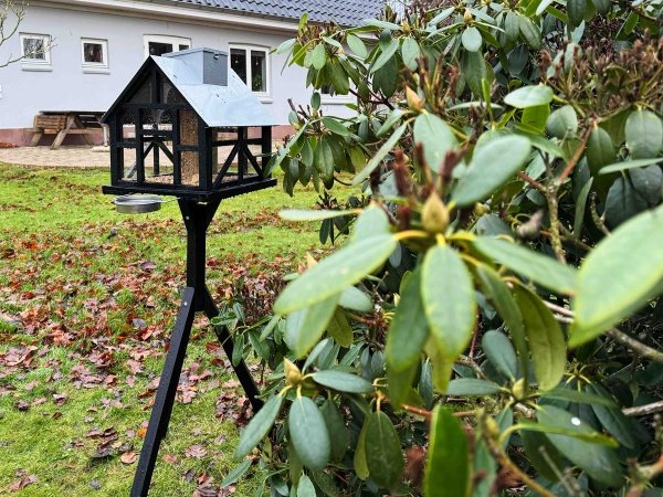Ryom fuglefoderhus Panorama
