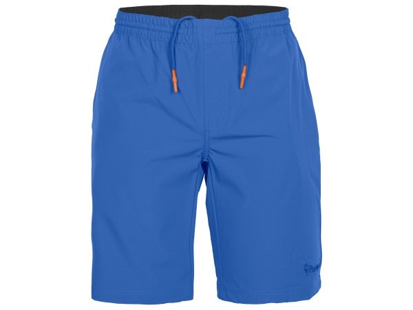 Pinewood Finnveden shorts