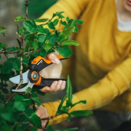 Fiskars beskærersaks
