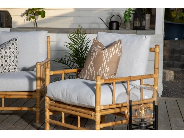 Venture D. havestol Cane