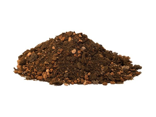 Champost sphagnumfri jord