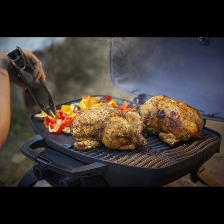 Napoleon gasgrill