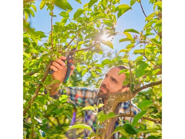 GARDENA PremiumCut Pro Flex beskærersaks GARDENA PremiumCut Pro Flex beskærersaks. Billedet viser produktet lukket.