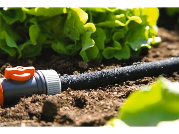 15 meter Gardena siveslange 15 meter Gardena siveslange med områdedækning: 15-15 m². Billedet viser produkt med hvid baggrund