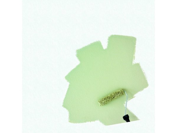 Dyrup farvetester væg