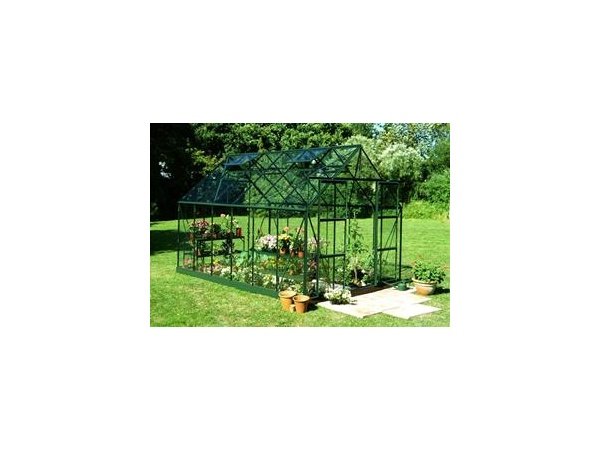 Halls Magnum 128 9,9m² drivhus