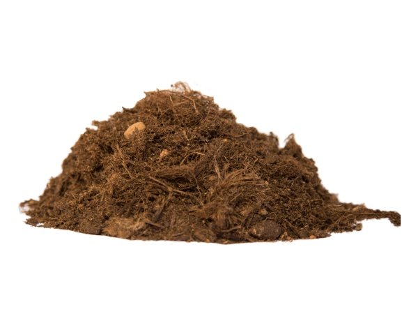 Champost planteskolejord