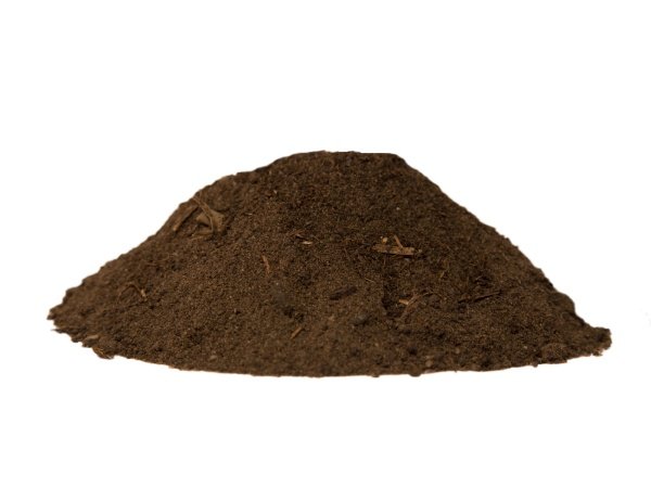 Champost Allétræs muld