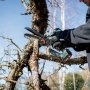 Metabo MS 18 LTX 15, akku-grensav, havearbejde, beskæring, træer, buske, haveværktøj.