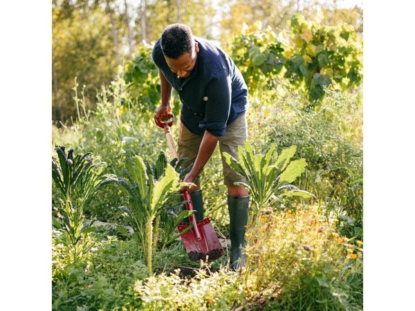 Fiskars Classic spade