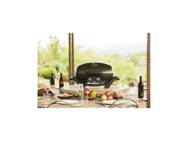 Napoleon TravelQ Pro 285, produkt i sæt