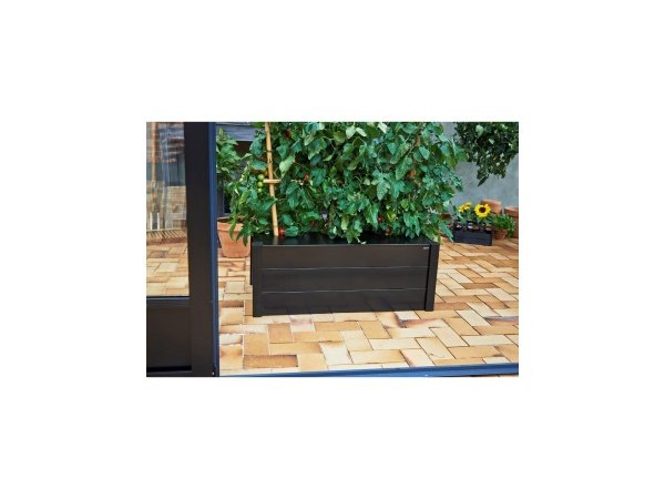 Juliana kapillærkasseskjuler