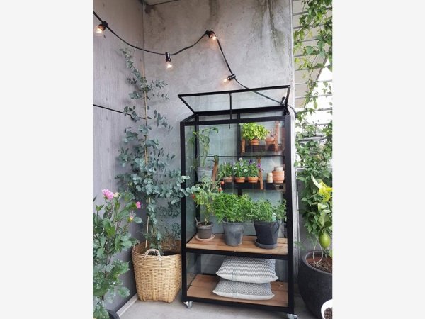 Juliana City Greenhouse 0,32m²