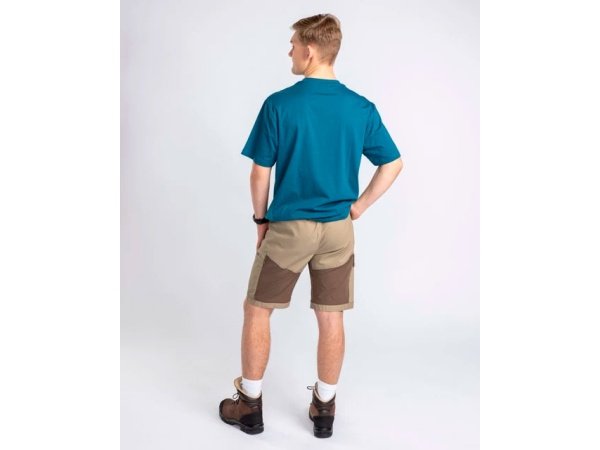 Pinewood Finnveden shorts