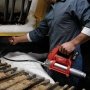 Milwaukee M12 GG-0 fedtpistol. Kraftfuld 12 V motor. Miljøbilledet viser produktets brugervenlige håndtag.