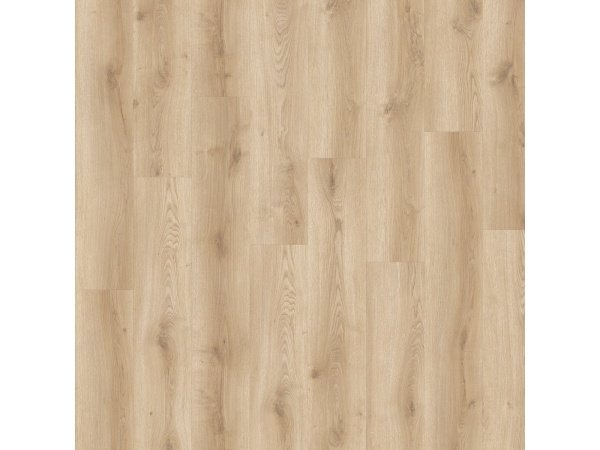 Vitality vinyl Amuse