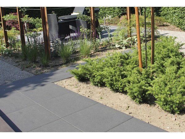 IBF Trendline sort flammet