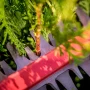 Metabo hækkeklipper, produkt i miljø 3