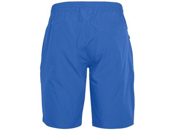 Pinewood Finnveden shorts