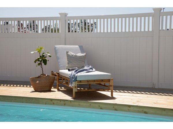 Venture D. solseng Cane