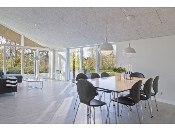 Troldtekt extremfin træbeton