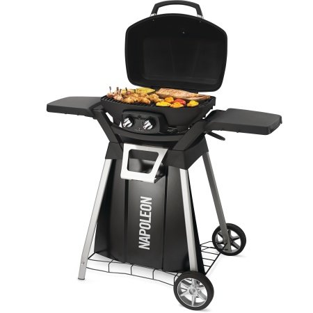 Napoleon gasgrill TravelQ sort