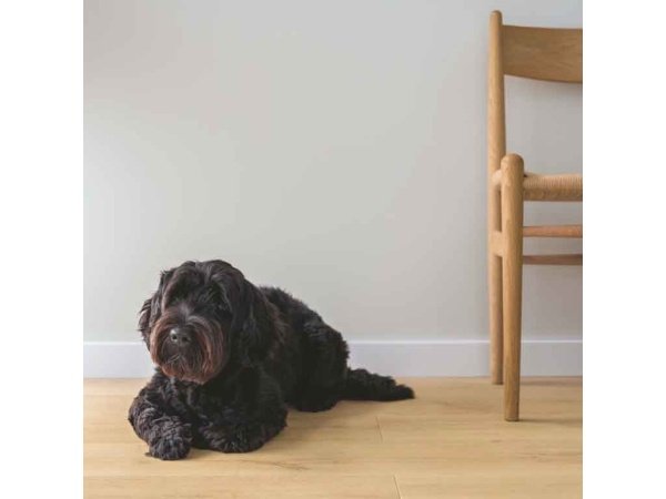 Pergo lillehammer Pure Oak