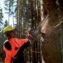 En person bruger  Metabo MS 36-18 LTX BL 40 kædesaven til at fjerne grene fra et træ