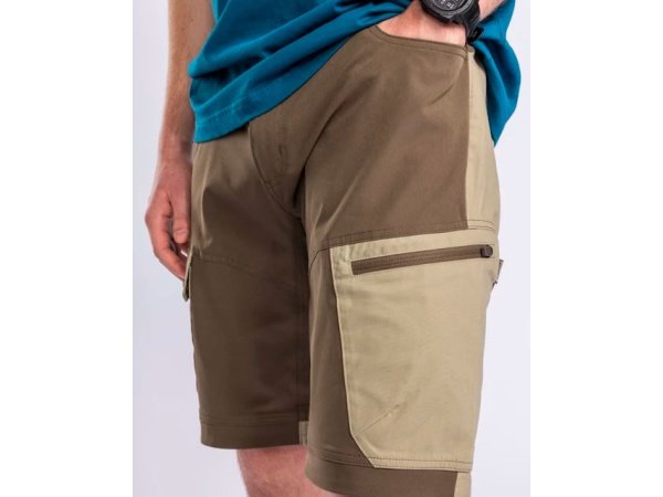 Pinewood Finnveden shorts