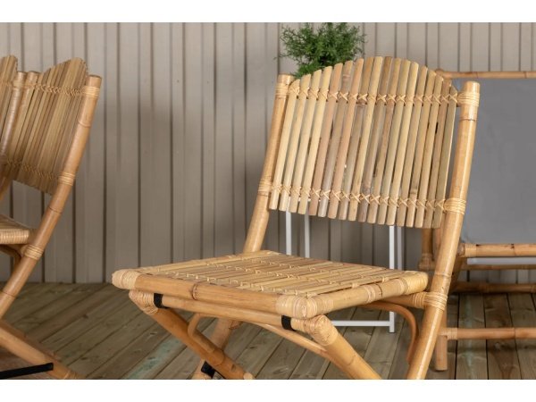 Venture D. havestol Cane