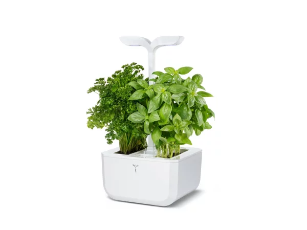 Indoor Garden Classic