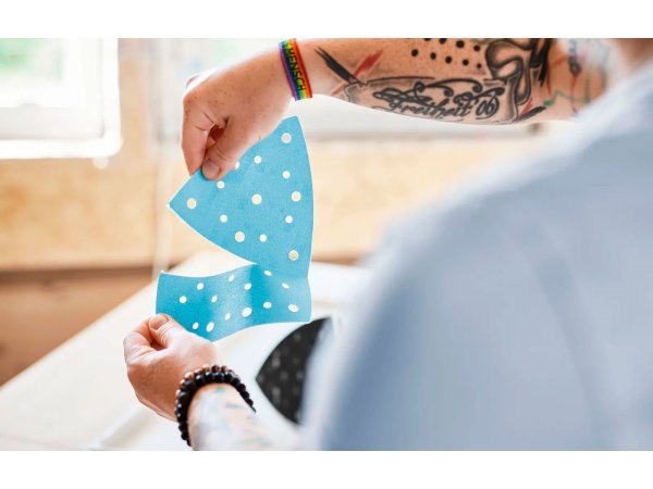 Festool deltasliber. Produkt vises med tilbehør