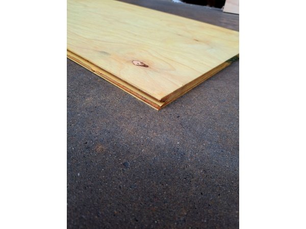 CT tagkrydsfiner antimug