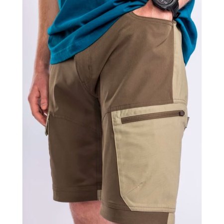 Pinewood Finnveden shorts