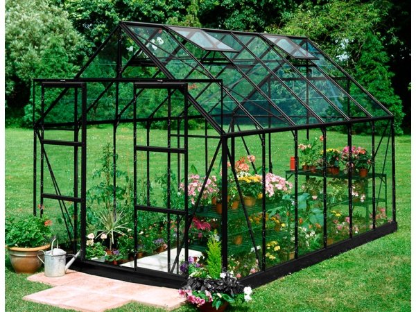 Halls Magnum 128 9,9m² drivhus