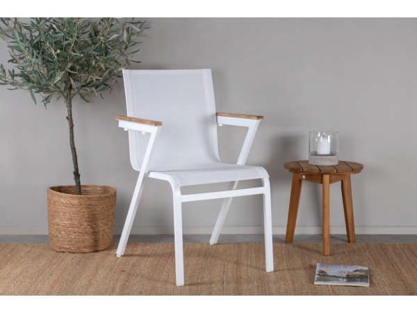 Venture D. havestol Mexico