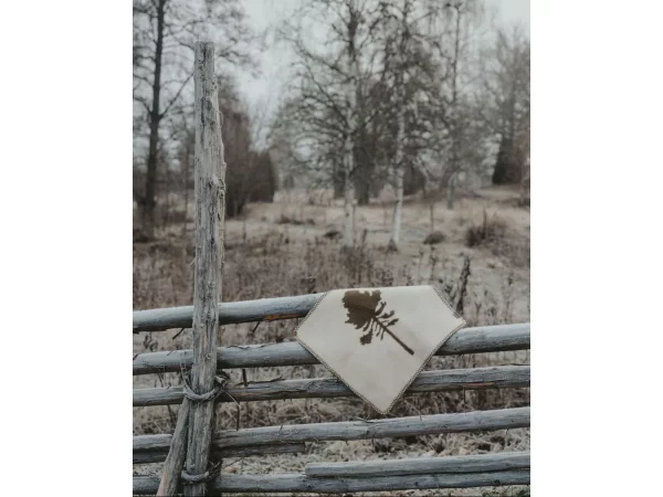 Pinewood uldsiddetæppe