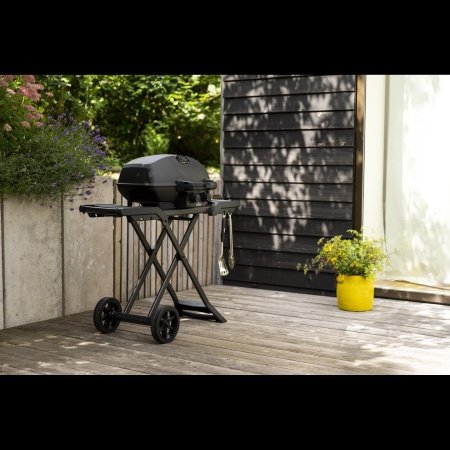 Napoleon gasgrill