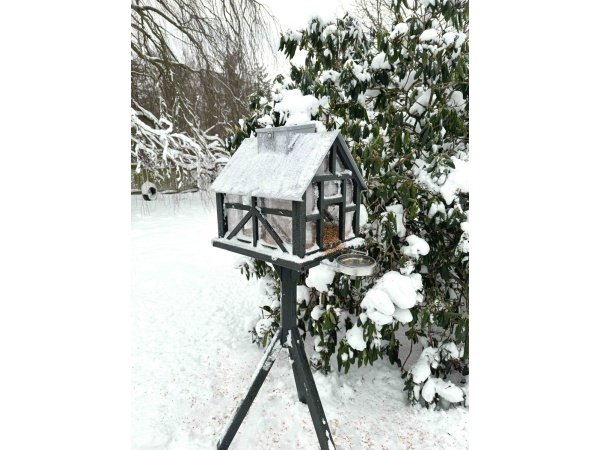 Ryom fuglefoderhus Panorama