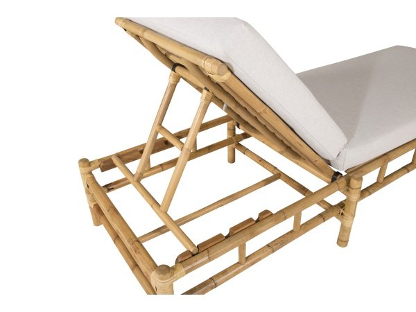 Venture D. solseng Cane