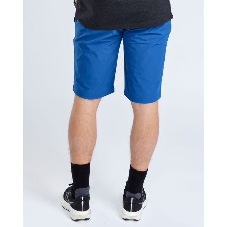 Pinewood Finnveden shorts