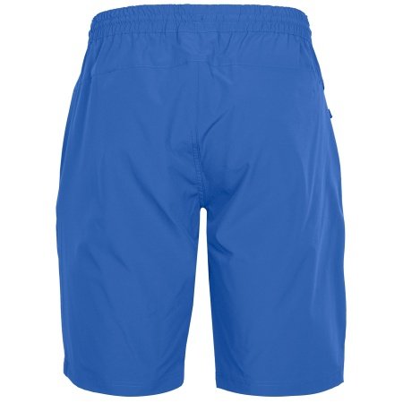 Pinewood Finnveden shorts